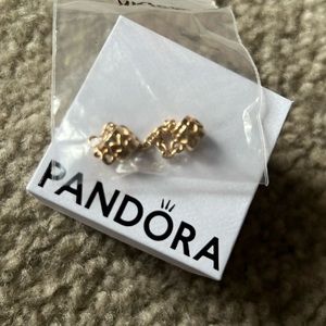 BRAND NEW ⭐️14K GOLD PANDORA SAFETY CHAIN⭐️ NEW IN BAG